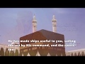 Beautiful recitation  surah ibrahim 31 41