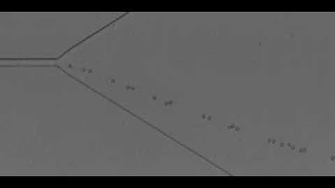 Dynamic self-assembly and control of microfluidic particle crystals S3