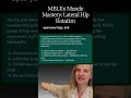 MBLEx Practice Question: Lateral Hip Rotators | Muscle Mastery