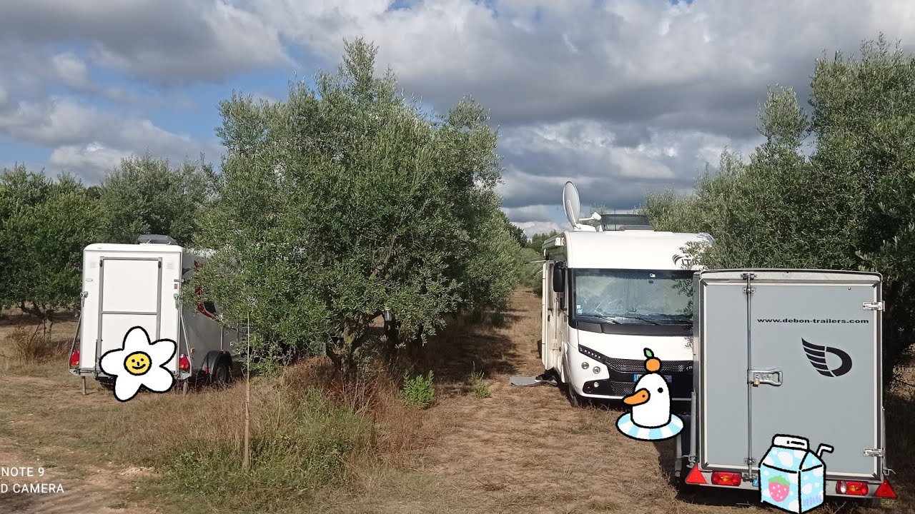 Portugal en camping-car on dort au milieu des oliviers visite de nazaré