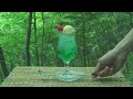 山梨の森の中で作る、深緑のクリームソーダ。
