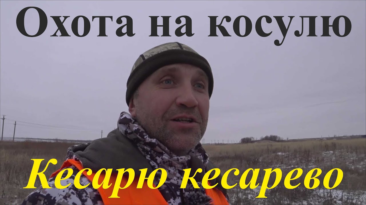 Охота на косулю - Кесарю кесарево - YouTube