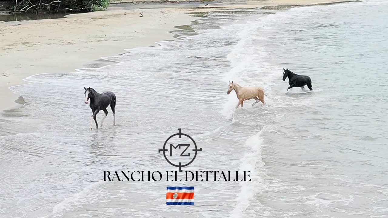 RANCHO EL DETALLE CABALLOS EN EL CARIBE (COSTA RICA)