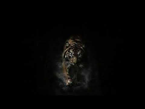 JVSTIN CLANDESTINA Slowed At The Perfect Time Reverb