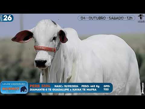 LOTE 26   PERB 5594