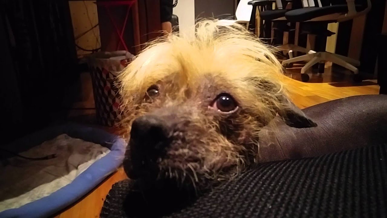 7MINENTULAB -004- JESPERINO