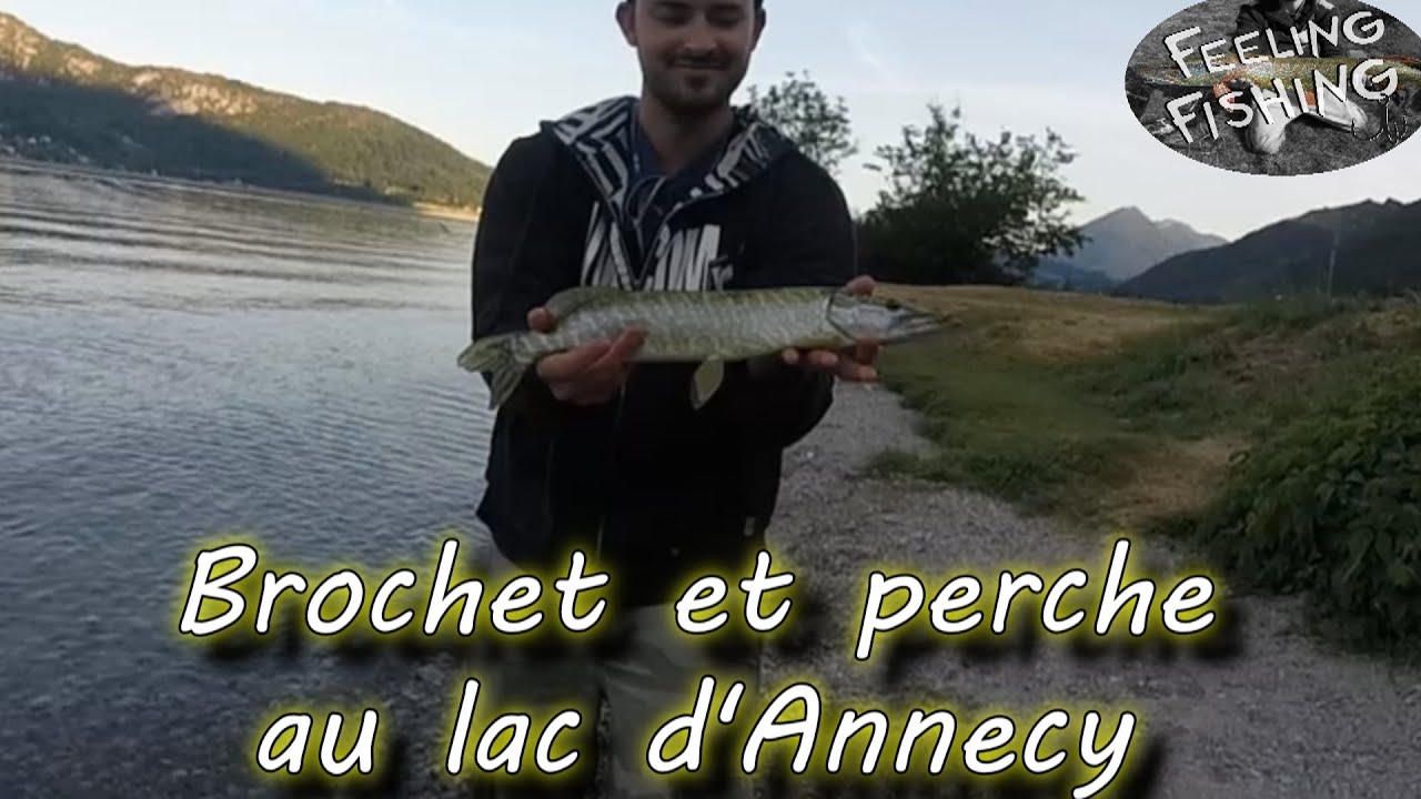 Peche du brochet et de la perche sur le lac d'annecy YouTube