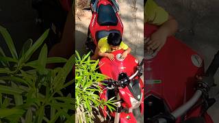 Beneli600 tnt #benelli #beneli600i #tnt600 #ytshorts #sportbike #bikesound #shorts #benelli600 #bike