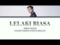 Lelaki Biasa - Amir Hasan | Color Coded Lyrics (Malay)