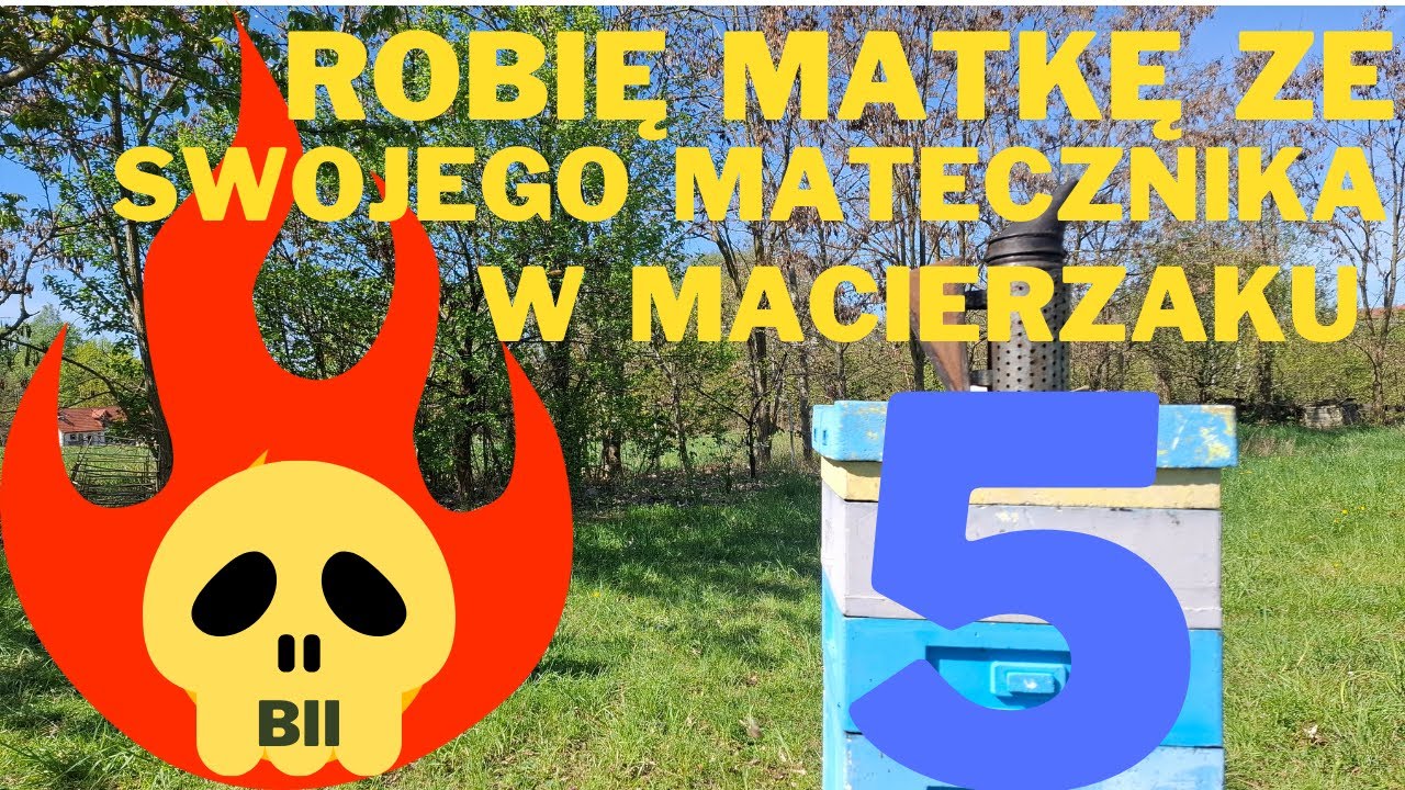Metoda przeciw rojeniu się pszczół  cz5