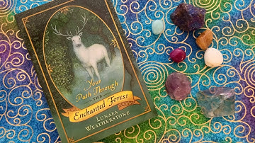 Forest of Enchantment Tarot: Deck Mod