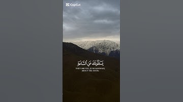 اكتب شيء تؤجر عليه 🤍 #قرآن #اكسبلور #تلاوة #ترتيل #صلاة_التراويح #quran #اكسبلور #الخبر #الشرقية