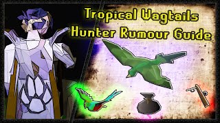 OSRS Hunter Rumors - Tropical Wagtails Quick Guide (3 min)