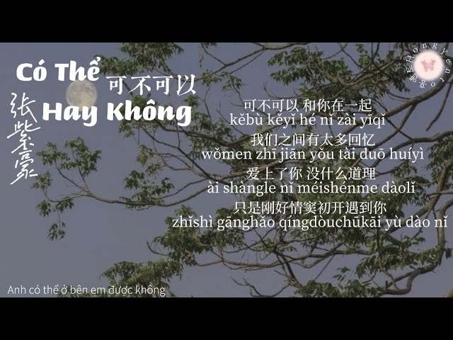 Có Thể Hay Không可不可以-Trương Tử Hào 张紫豪(lyrics+pinyin+vietsub)| 홍옌토 Hong Yento class=