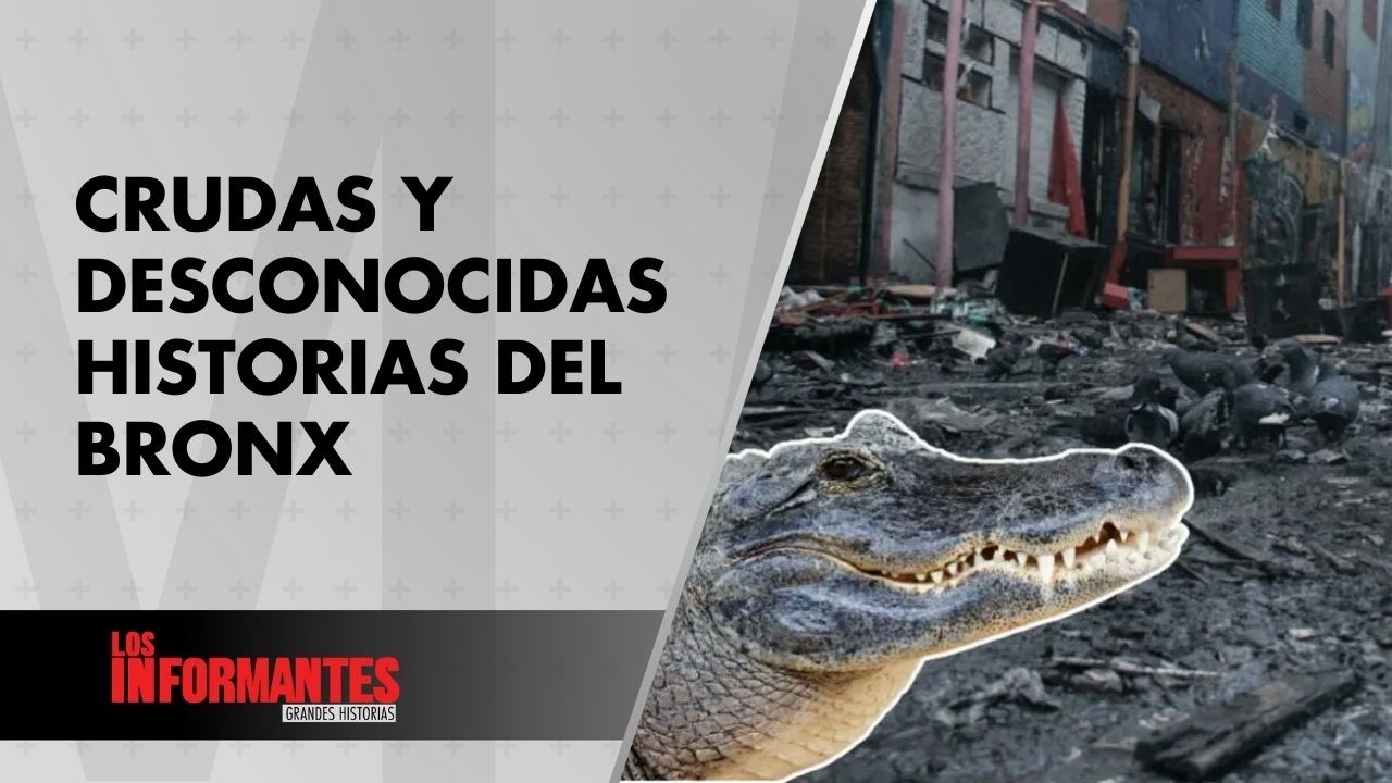 El cocodrilo y otros secretos desconocidos de la temida zona del Bronx en Bogotá - Los Informantes