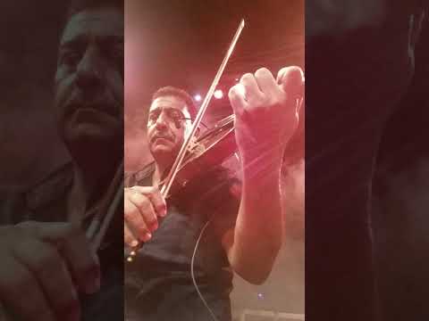 اغنيه وانت ماشى فى مصر مع الفنان القدير هانى شاكر عزف د سامى جمعه
