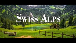 The Alps Relaxation Film