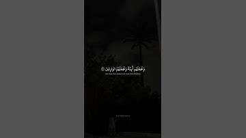 وَنُريدُ أَن نَمُنَّ عَلَى الَّذينَ استُضعِفوا فِي الأَرضِ | محمد صديق المنشاوي | سورة القصص