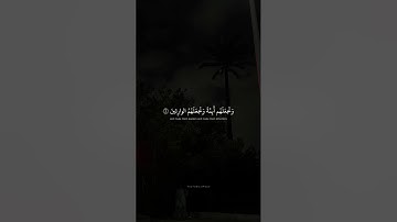 وَنُريدُ أَن نَمُنَّ عَلَى الَّذينَ استُضعِفوا فِي الأَرضِ | محمد صديق المنشاوي | سورة القصص