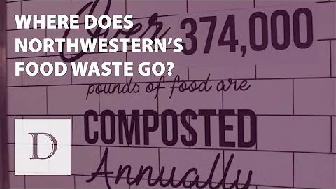 Composting and reuse from NU’s dining halls