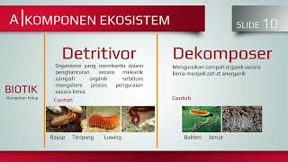KOMPONEN EKOSISTEM 1