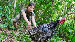 Find traces of turkeys, set traps to catch them and move to new lands, survival alone