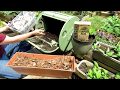 How to Make Free Hot 'Coffee' Compost Using a Compost Tumbler: The Carbon:Nitrogen Ratio Explained