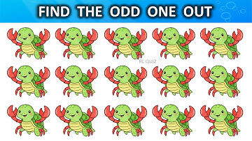 Find the Odd One Out Turtle Crab