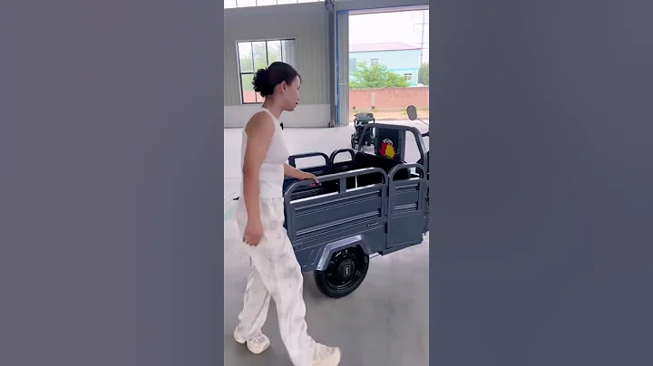 "Special-shaped three-wheeled vehicle, passenger and cargo dual-purpose model"#electricvehicle