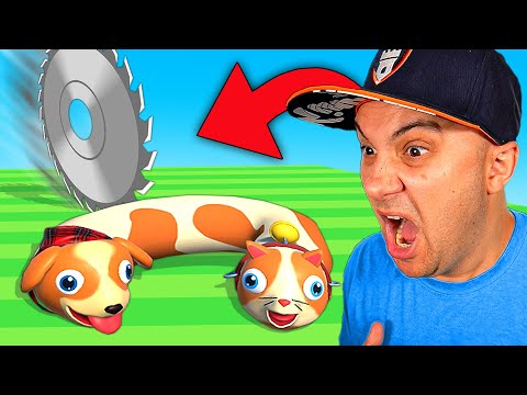 Beating IMPOSSIBLE Levels to Win! | Cats & Dogs 3D