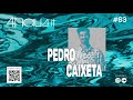 Pedro caixeta   4hausit 63