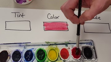 Watercolors - Tints, Colors & Shades