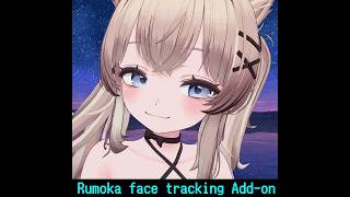 Rumoka / るもか Face Tracking Addon Demo / フェイストラッキング アドオン デモ