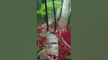 Quran Kareem story 🌸WhatsApp  أجمل قرائه قرآن كريم حالات واتس 🍃 《 سوره الأنبياء   》