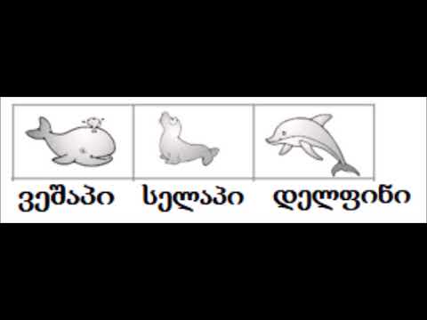 მოისმინე და შეავსე ცხრილი