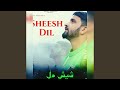 Sheesh dil fedreavith feat sethi xpress