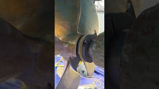 Recent Install (Spurs Line and Net Cutter)