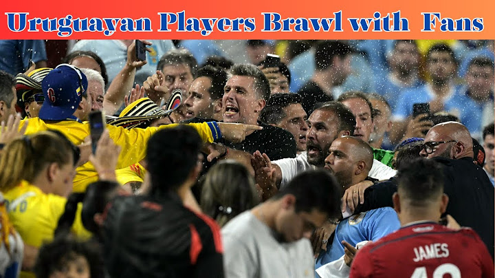 Uruguayan Players Brawl with Colombia Fans After Copa America Loss