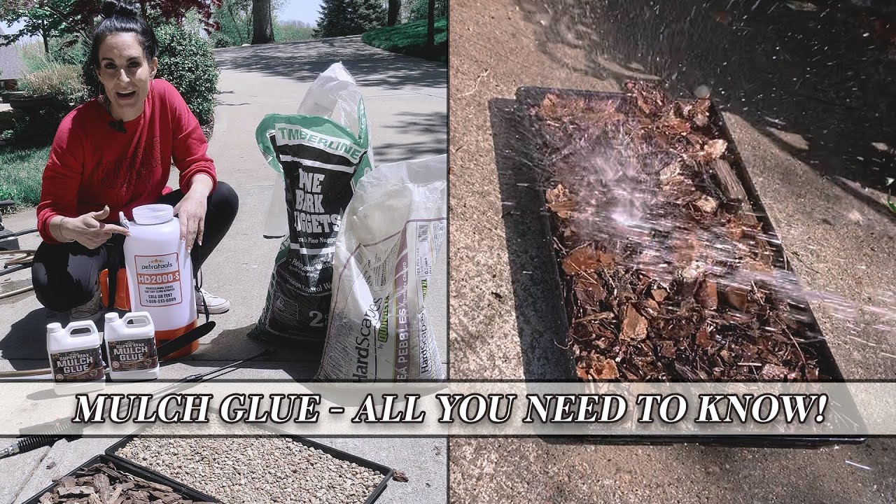 Mulch glue on mulch tree rings : r/landscaping