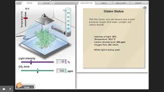 Photosynthesis Lab Gizmo : ExploreLearning