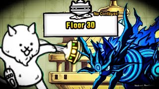 Battle Cats | Shadow Gao vs Hermit Cat!! | Heavenly Tower, Floor 30