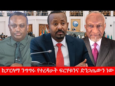 Anchor Media ከአብይ አህመድ የፓርላማ ንግግር የተረዳሁት ፍርሃቱንና ድንጋጤውን ነው ፕ ር ተሾመ አበበ