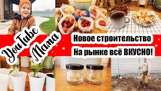 ЗАПРЕТИЛИ СНИМАТЬ на РЫНКЕ 😔◾ Снова СТРОИМ 🏡 ◾ Мясные ЗАГОТОВКИ 🥩 ◾ Хранение в МОРОЗИЛКЕ  ◾ РАССАДА