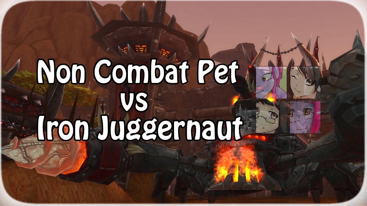 Non Combat Pet VS Heroic Iron Juggernaut YouTube