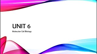 Unit 6 Review AP Biology