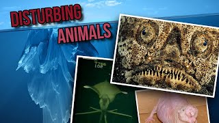 Disturbing Real Life Animals Iceberg Explained