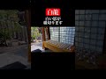 白龍 #Shorts