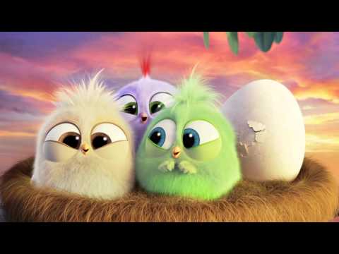 Angry Birds – Il Film - I pulcini vi augurano buona Festa della Mamma