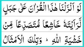 Surah Al Hashr Verses 20-24 | Lau Anzalna Hazal Quran | Beautiful Quran Tilawat | Aaye Quran Sikhe