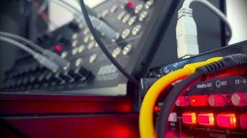 An Old Tree (MS-20 Performance)